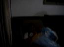 Leit�o bodado