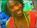 regge ......