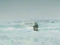 Killer Whale Eats Eskimo Killer Whale Eats Eskimo