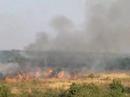 Darmowe filmy - Fire Fire