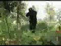 SERBIAN SPECIAL FORCES/SRPSKE SPECIJALNE JEDINICE