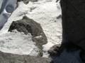 videos de grand paradis 2008 sommet