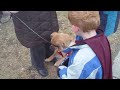 WOODY Learning to howl