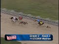 Victoryland 11/23/09 Matinee Race 3