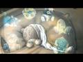 My Blue Nose Friends - Tatty Teddy dreams