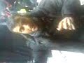 3li karki funnay 3li karki funnay