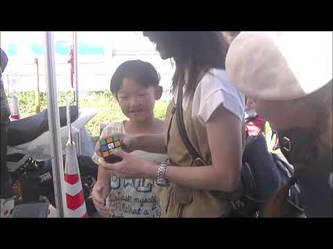 動画