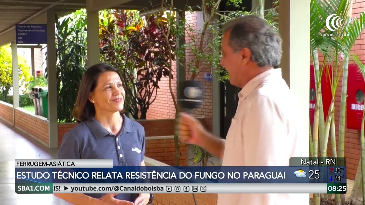 Estudo técnico relata resistência do fungo da ferrugem asiática no Paraguai