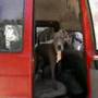 pitbull rescue in israel- יובל מציל הפיטבולים בישראל