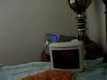 Sick in Bed