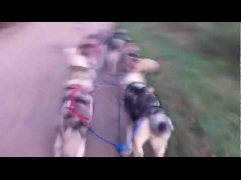 YouTube Preview Image