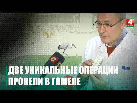 В Гомеле провели две уникальные операции детям с врожденной деформацией позвоночника видео
