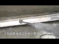 �ⰵ������_��?���?�ͥåȤޤ���:YouTube������=290��