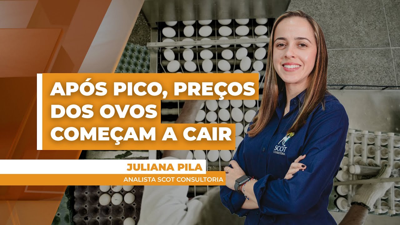 Após pico de preços dos ovos, valores no atacado e varejo começam a baixar por afastamento do ...