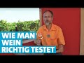 Werner erklärt Wein: Richtig trinken und schmecken