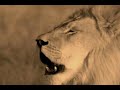 ABYSSLION ABYSSLION