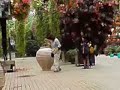 富士国際花園にて行われる梟の調教ショー
