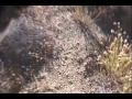 Unicycling video - Encounters