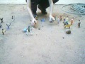 Invacion de orcos (playmobil) 4/7