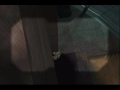 WS OverKill Halo 2 Productions