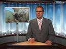 Business a.m. vom 13.12.: Autobauern droht Milliardenbu�e