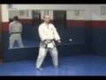 Kihon Kata Seigokan - Silvio Felippe