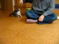 Nawo san and Show hachi