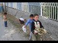 can-akin-van-kalesi.html