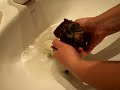 Xana is having a bath