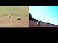 RC Car Monster Truck vs Jack Russell Terrier