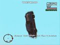 San Andreas Long Jump To Water!!!