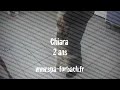 Chiara - un amour de caniche - www.spa-forbach.fr