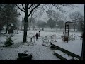 Snow Fall Time-lapse Snow Fall Time-lapse