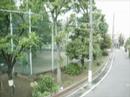 東京足立区の住宅地に住んでいますが、久しぶりにウグイスが鳴いていました。以前は、よく聞いたような気がするんですが、、、 ... ウグイス 足立区 