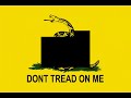 peter schiff on michael savage 11/24/08  1/2