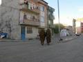 Bayburt, Bayburtlu Hamos Eze, teyo nun ögey bacisi