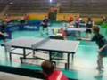 videos de Felle vs Sebbe (pingis)
