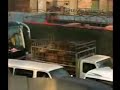 L'Atroce Mercato Cinese delle Pelli di Cani e Gatti - The Terrible China's Dog and Cat Fur Trade