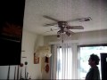 Hummingbird in the Kitchen