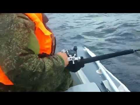 видео ловля трески в баренцевом море 2015 видео ловля трески в баренцевом море 2015