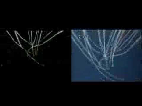 ギャラクシーエンジェる~んVSエウレカ