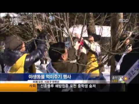 서초구, 겨울철 우면산 야생동물 먹이주기 행사열어(MBC)