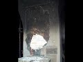 divna ljubojevic kosovo leiden suffering