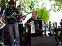Mestre Camar�o - Sanfona sentida