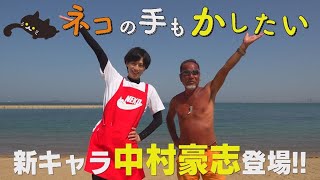 動画のサムネイル