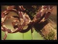 Mopawi - Biosfera Mopawi - Biosfera