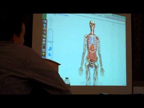 Viaja por el cuerpo humano en 3D
