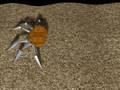 Sliding Crab Geometry, in 3D Studio Max