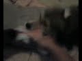 See Video