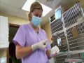 Medivet America, Pet Health through Stem Cell Technology!